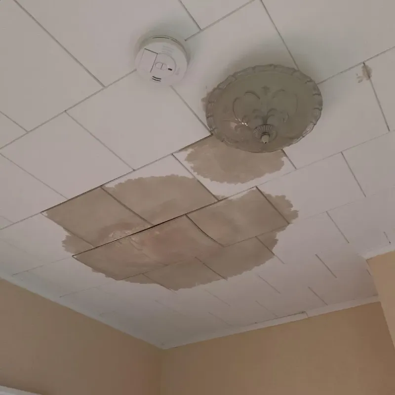 Ceiling Water Damage Repair in Saranac Lake, NY