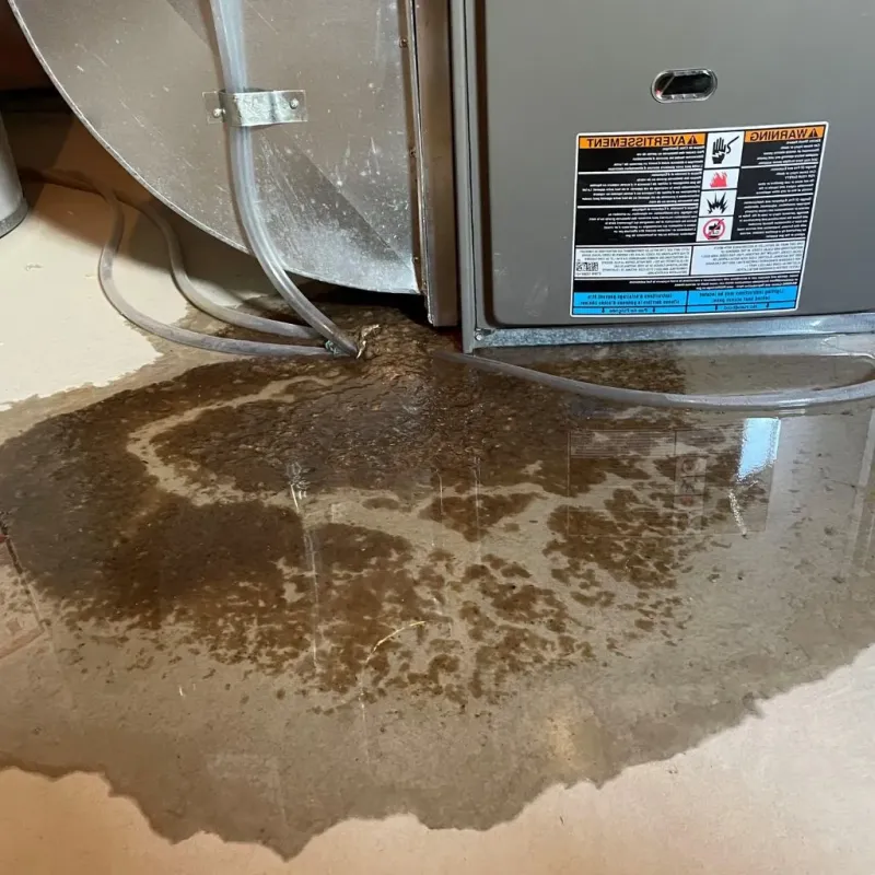 Pipe Burst and Leak Restoration in Saranac Lake, NY